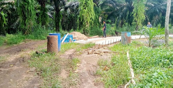 Realisasi Pembangunan Jalan Usaha Tani Menggunakan Dana Desa Tahun 2024 Bermasalah, Hingga Kini Pembangunan Mangkrak