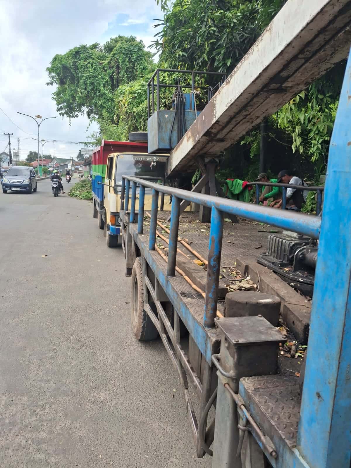 Pohon Tumbang di Jalur Dua Pramuka Rajabasa Bandar Lampung, BPLH Lakukan Penanganan Cepat