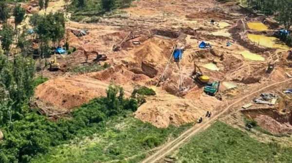 Usut Mafia Solar Di Balik Tambang Emas Ilegal Way Kanan